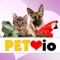 Pet io is like a trip through the pet store of your dreams