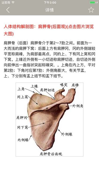 人体解剖图 - 全彩医学专业解剖图谱 screenshot-3