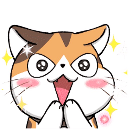 Animated Cat Love Stickers icon