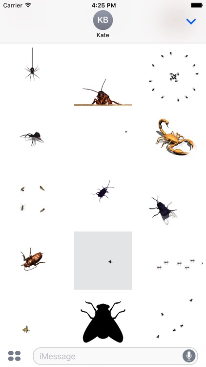 Animated Bugs