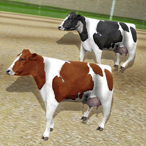 Cow Racing Free Game Icon