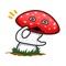 Mushroom Expressions