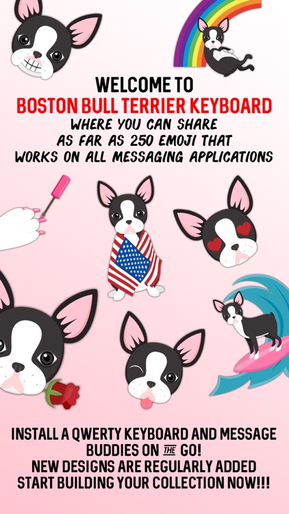 Boston Bull Terrier Keyboard