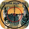 3D Hunting Zebra - Wild Hunter with Sniper