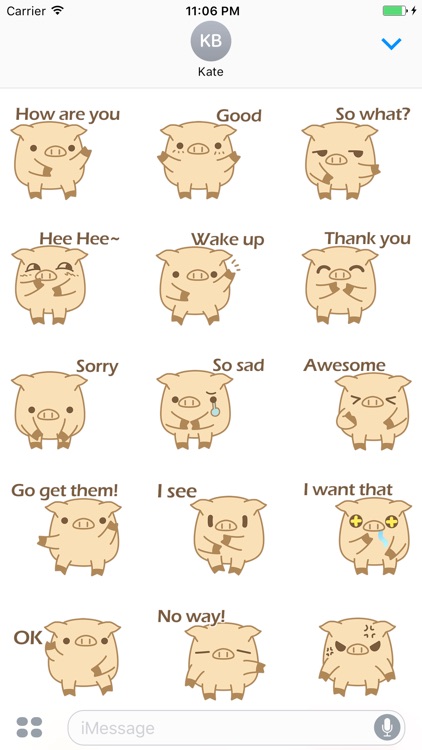 Finn The Funny Pig Brother Stickers