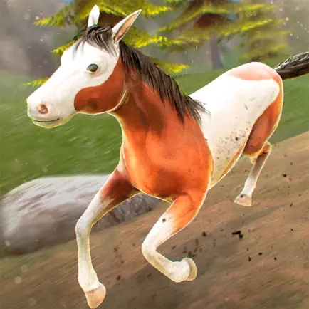 My Riding Wild Horse: The Jumping Adventure Cheats