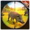 Boar Hunter & Wild Safari Animal Shooting Game