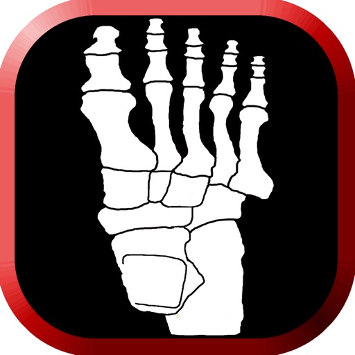 Pocket LEA - Lower Extremity Anatomy