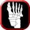 Pocket Lower Extremity Anatomy App was made for Podiatry Students and any other Medical Professionals looking to master anatomy pertaining to the lower extremity