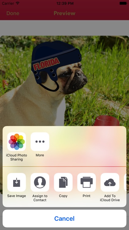 Florida Hockey Stickers & Emojis screenshot-4