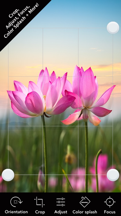 Photo Editor+