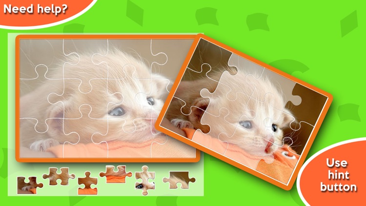 Cute Kitty Jigsaw Puzzle - Crazy Cat Game