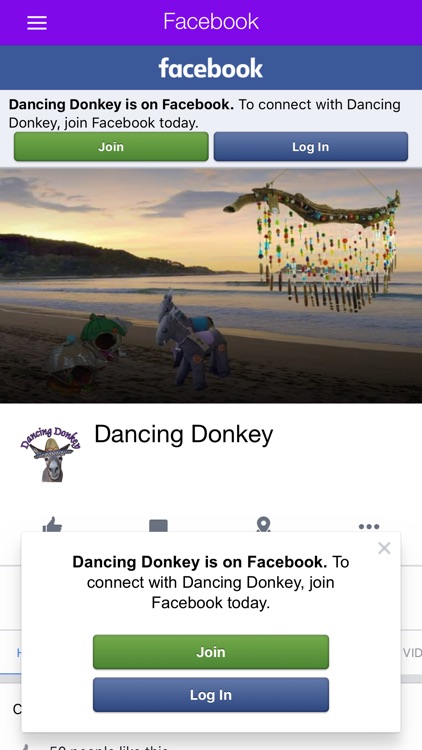 Dancing Donkey - Arts & Crafts