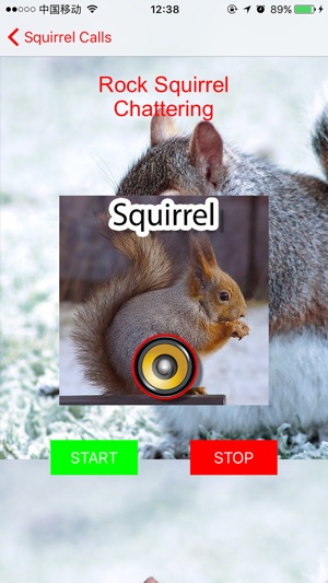 Real Squirrel Hunting Calls & Sounds(圖1)-速報App