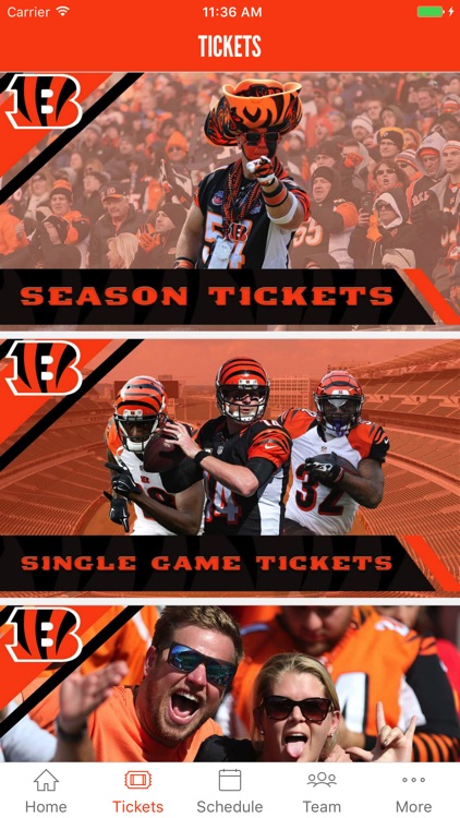 Cincinnati Bengals