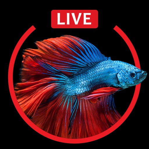 Aquarium Live HD Wallpapers for Lock Screen iOS App