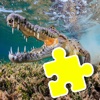 Puzzle Crocodile And Jigsaw For Kids Games