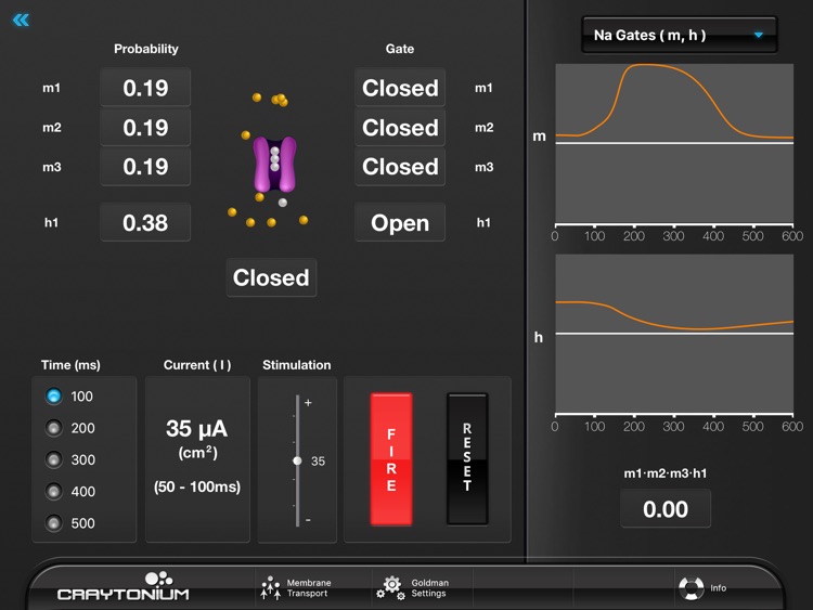 Craytonium Interactive Neurophysiology screenshot-4