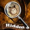 Golden Time Hidden Objects