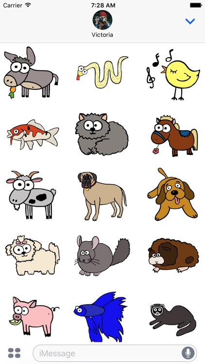 Animal Ages Stickers