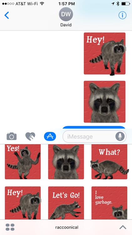 Raccoonical
