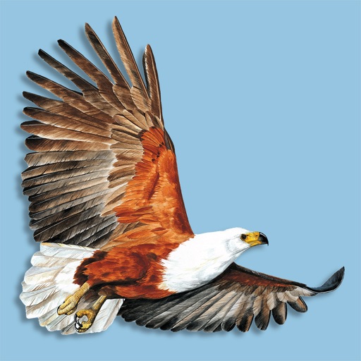 Roberts VII Multimedia Birds of Southern Africa HD icon