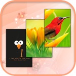 HD Wallpapers - Customise Your Screen