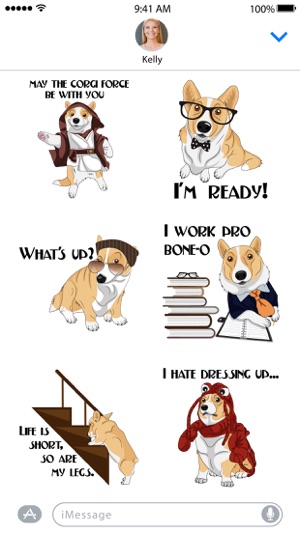 Corgi Style(圖2)-速報App