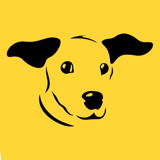 Dogs Trust Quiz