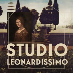 Studio leonardissimo