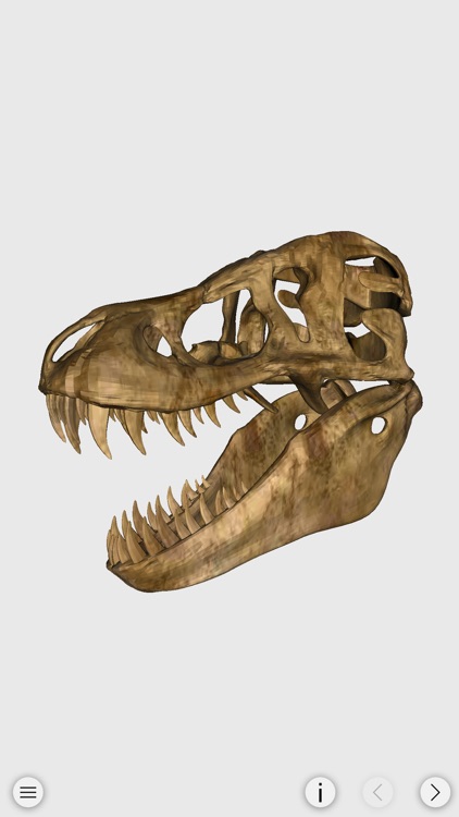 World of Dinosaur : The Ultimate Dinosaur Resource screenshot-4