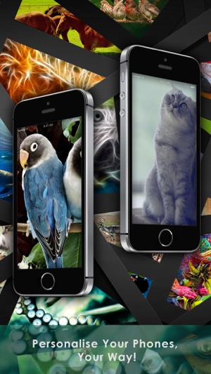 Cool Animals HD Awesome Themes & Wallpapers(圖2)-速報App