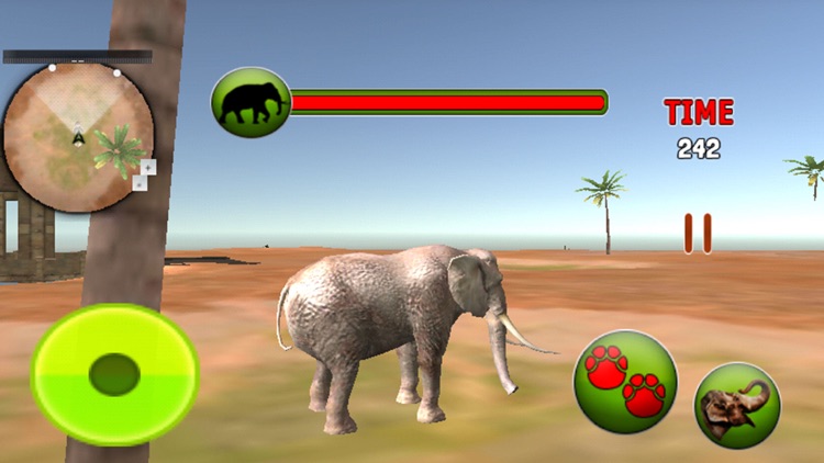 Jungle Wild Elephant Life - Animals Game