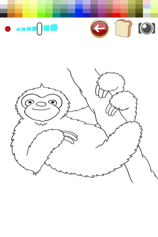 Draw and Color Sloth screenshot 2