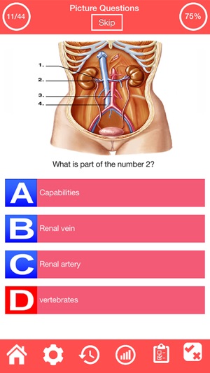 Human Urinary System Quiz(圖3)-速報App