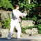 Chi Moves is a system of exercises based on Tai Chi, Chi Kung, and Meditation