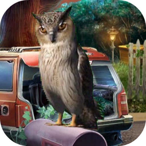 Visit To Owl Street iOS App