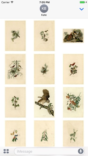 Audubon Artworks Stickers(圖4)-速報App