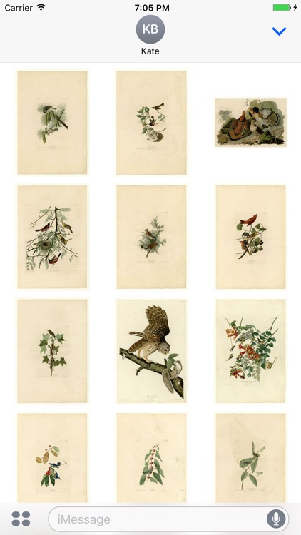 Audubon Artworks Stickers screenshot-3