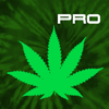 no app image