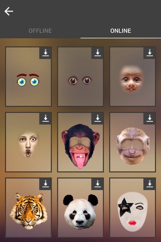 Masquerade Camera Effect - náhled