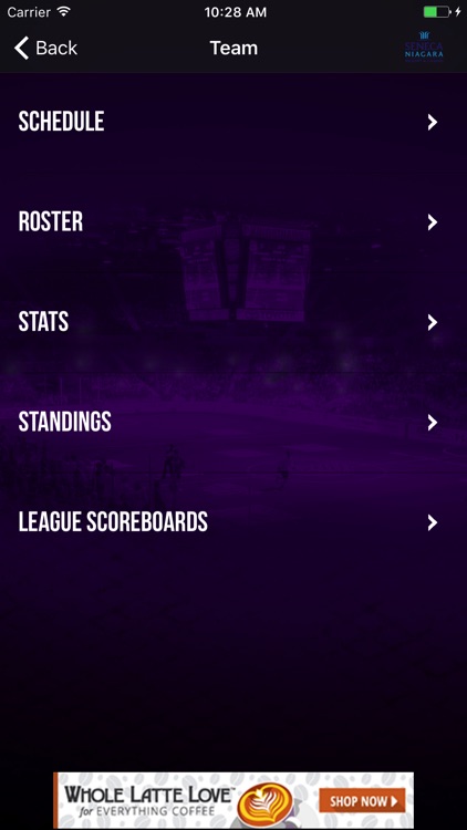 Knighthawks screenshot-3