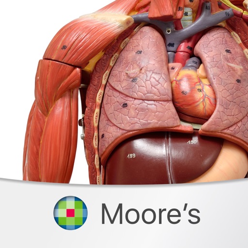 MOORE Clinical Anatomy Flashcards