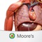 Boost your score and your understanding of clinically relevant anatomy with Moore’s Anatomy Clinical Flash Cards