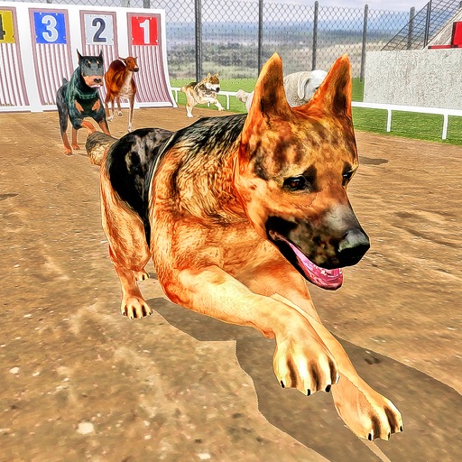 Dog Stunt Jump Training Simulator 3D icon