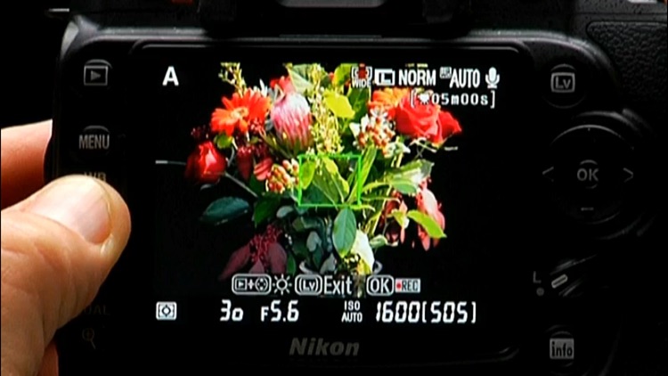 Nikon D90 - Basic Controls HD screenshot-4