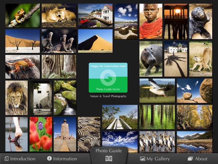 Photo Guide: Nature & Travel