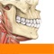 Download the Sobotta Anatomy App free of charge and test its full functionality with 40 unrestricted anatomical figures for medical school training and testing