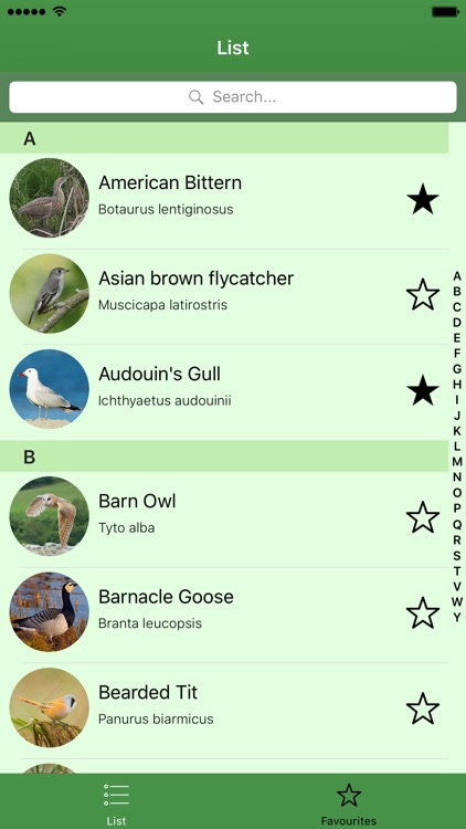 Hunting Decoys and Birdwatching - Bird Sounds