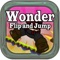 Wonder Flip Jump